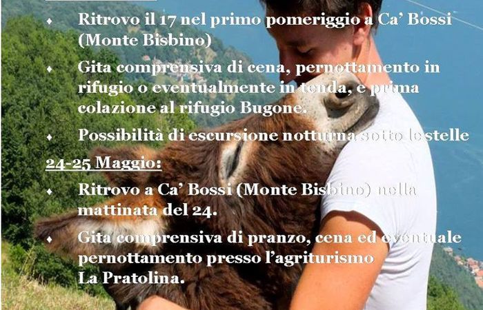 Allegato #1