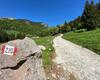 Sentiero 220 Valcanale Alpe Corte