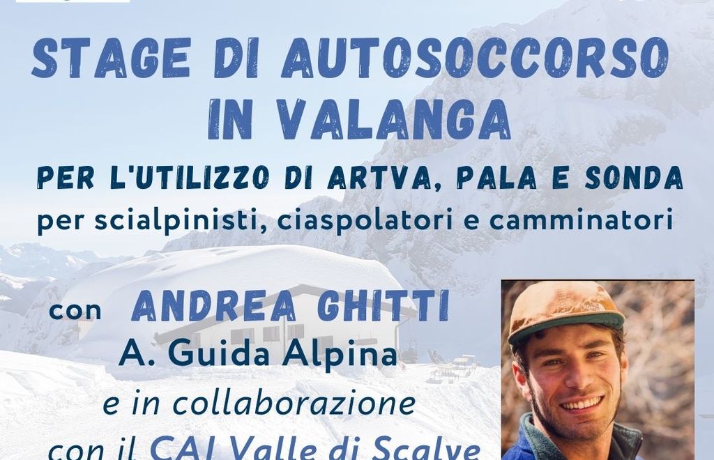 Allegato #3