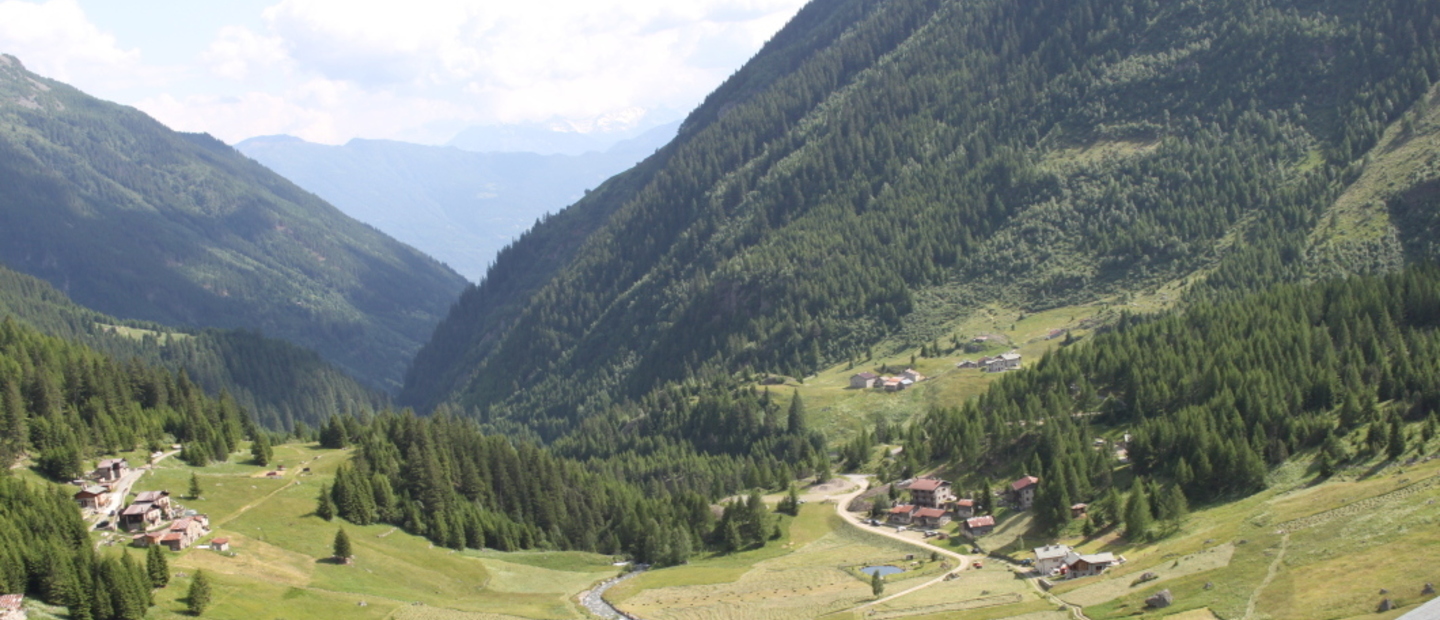 Vista dal Rifugio sulla Val Grosina