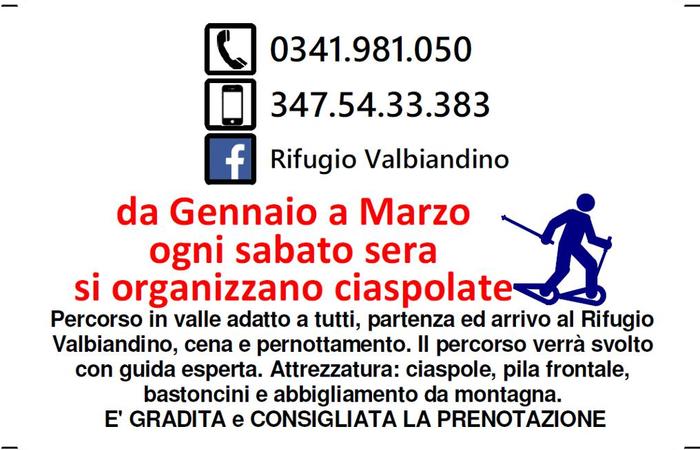 Allegato #1