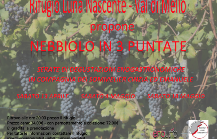 Allegato #2