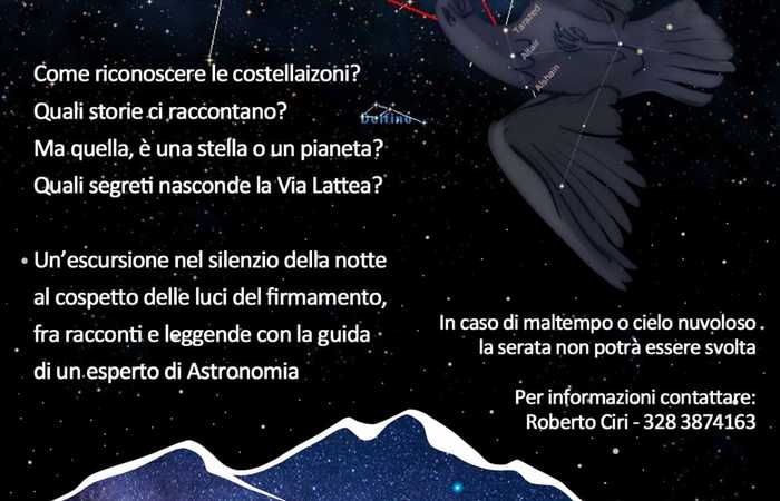 Allegato #1