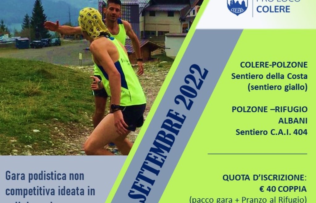 Allegato #2